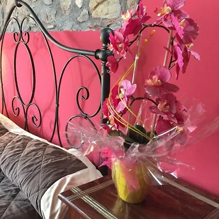 לינה וארוחת בוקר Lo Chalet Dell'antico Mulino *